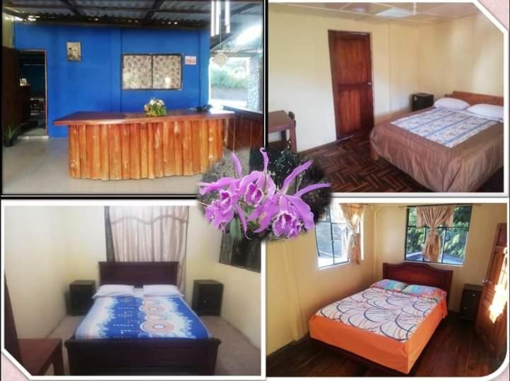 Residencial Valle Sagrado-Vilcabamba Luaran gambar