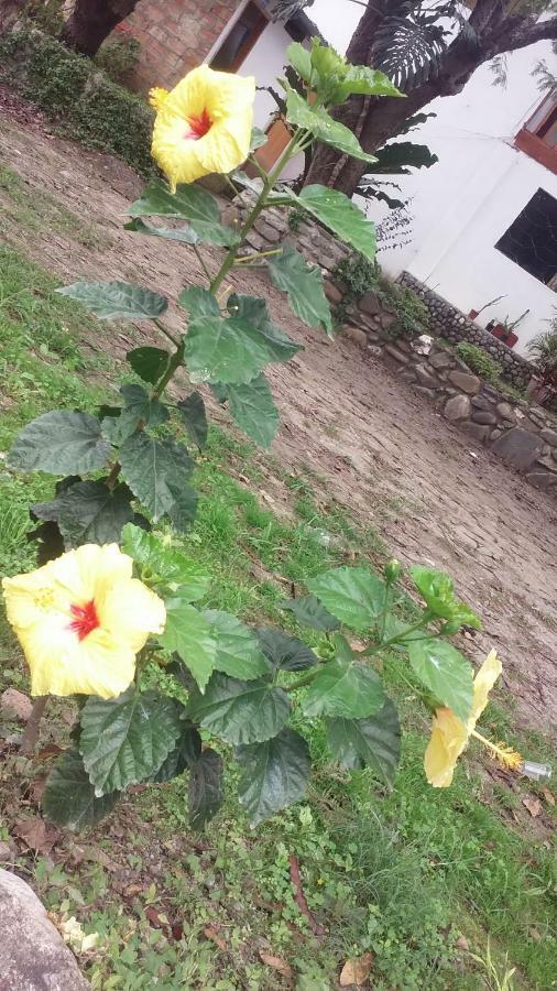 Residencial Valle Sagrado-Vilcabamba Luaran gambar